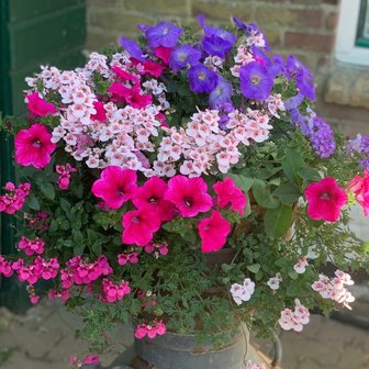 Hanging Basket Workshop