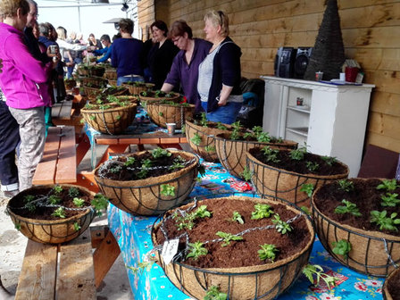 Hanging Basket Workshop