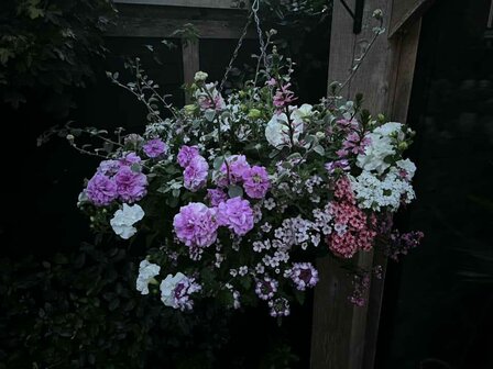 Hanging Basket Workshop