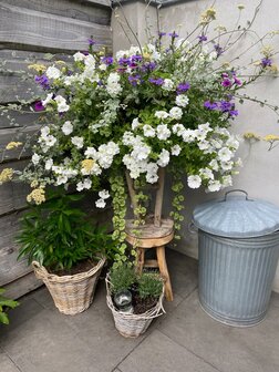 Hanging Basket Workshop