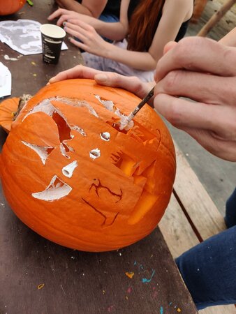 Pompoen snijden voor volwassenen