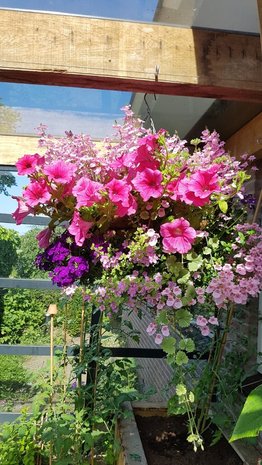 Hanging Basket Workshop