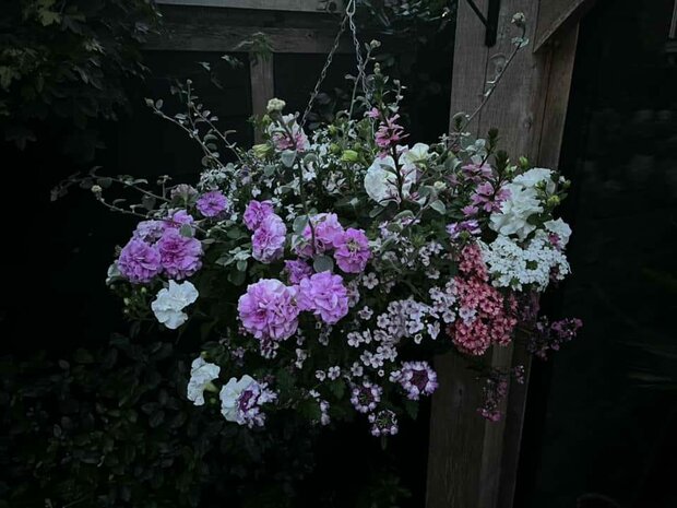 Hanging Basket Workshop