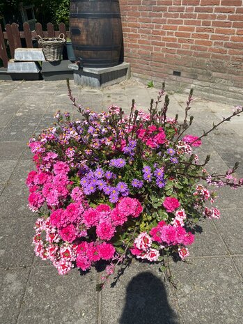 Hanging Basket Workshop