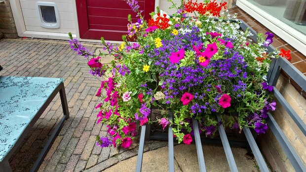 Hanging Basket Workshop