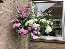 Hanging Basket (door de Marlequi laten maken)
